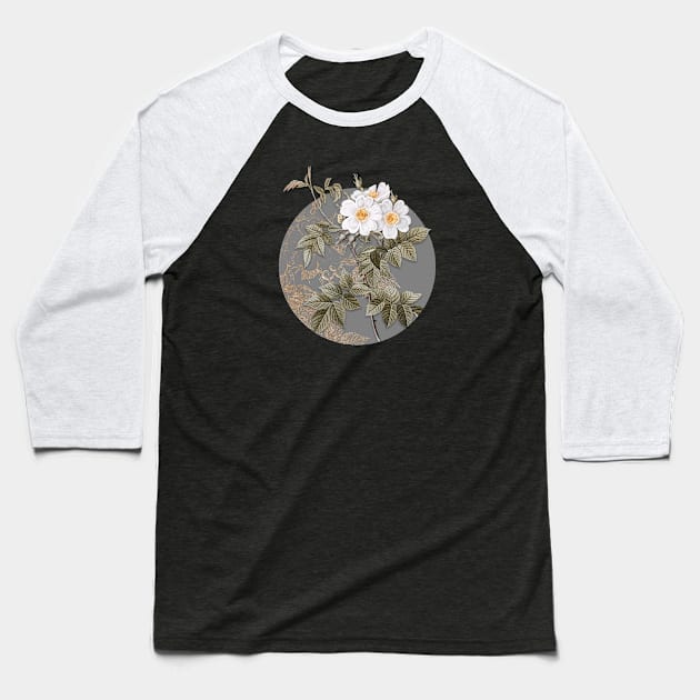 Vintage Blooming White Rosebush Botanical Illustration on Circle Baseball T-Shirt by Holy Rock Design